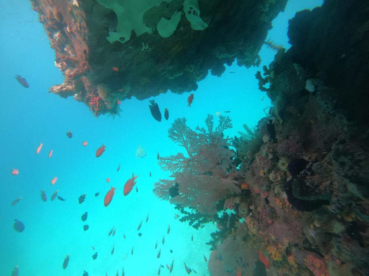 Meos Ambower Homestay Raja Ampat Fam 外观 照片