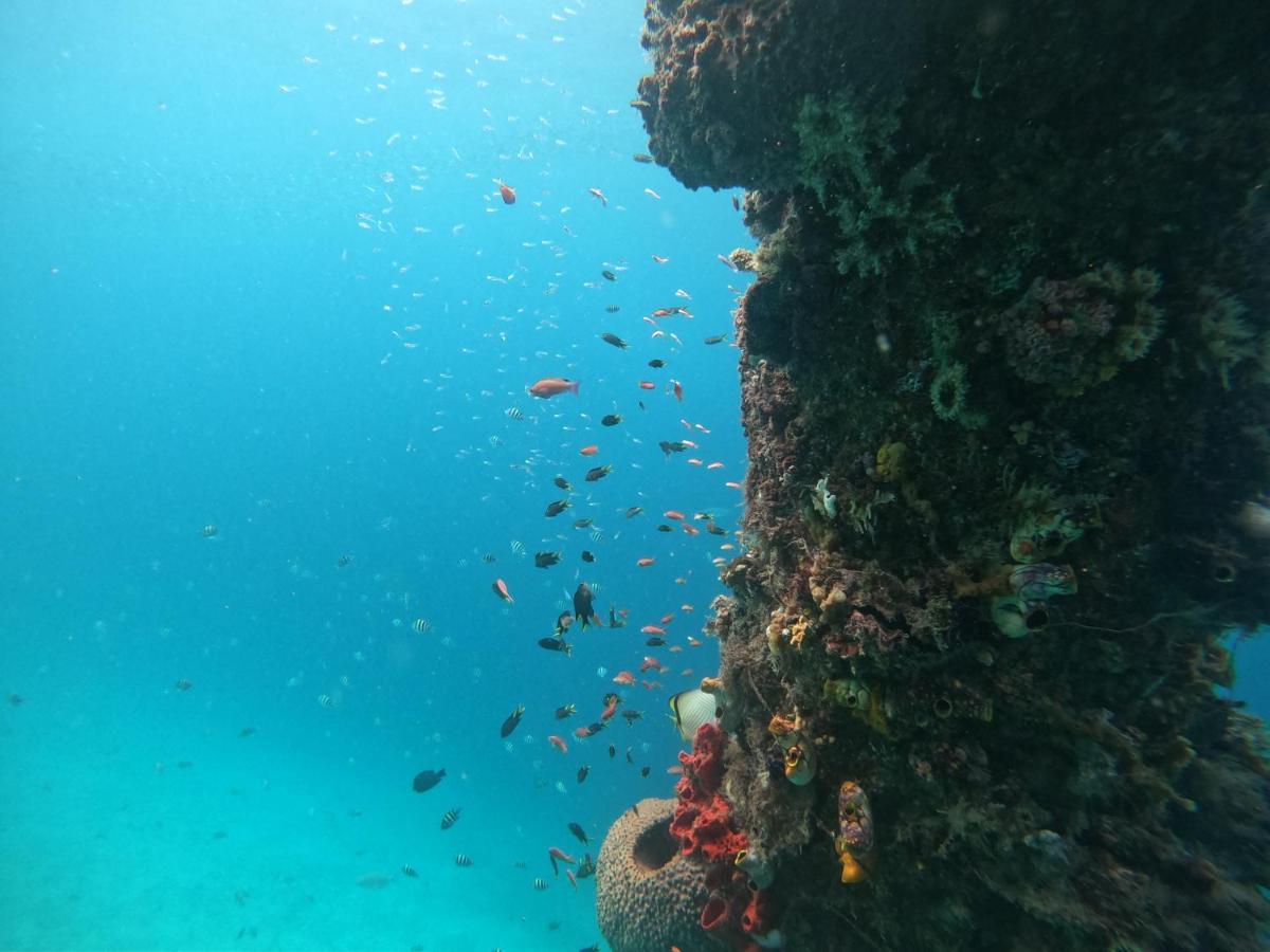Meos Ambower Homestay Raja Ampat Fam 外观 照片