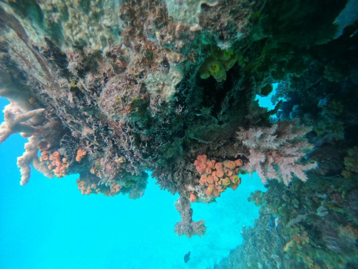 Meos Ambower Homestay Raja Ampat Fam 外观 照片