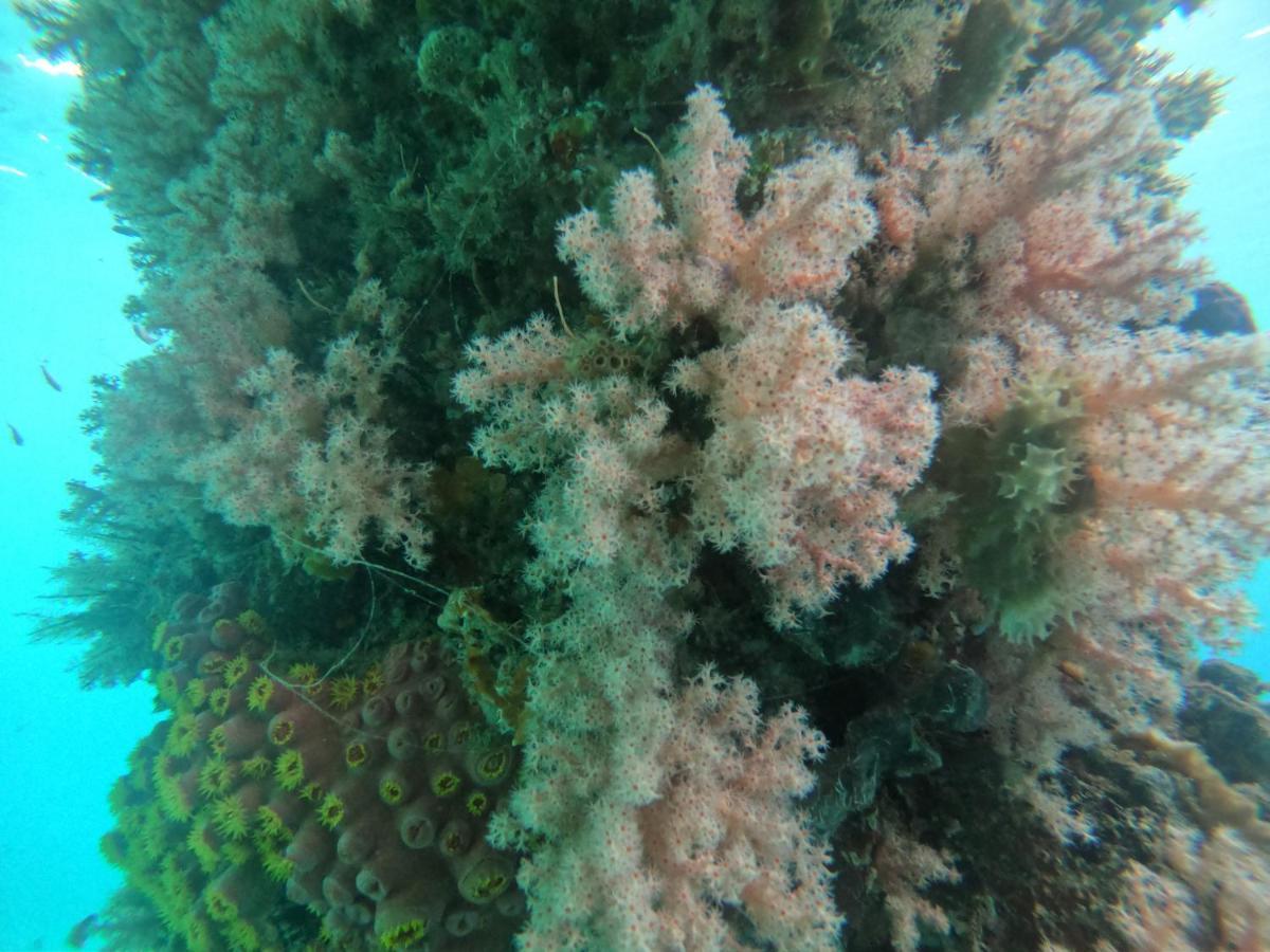 Meos Ambower Homestay Raja Ampat Fam 外观 照片