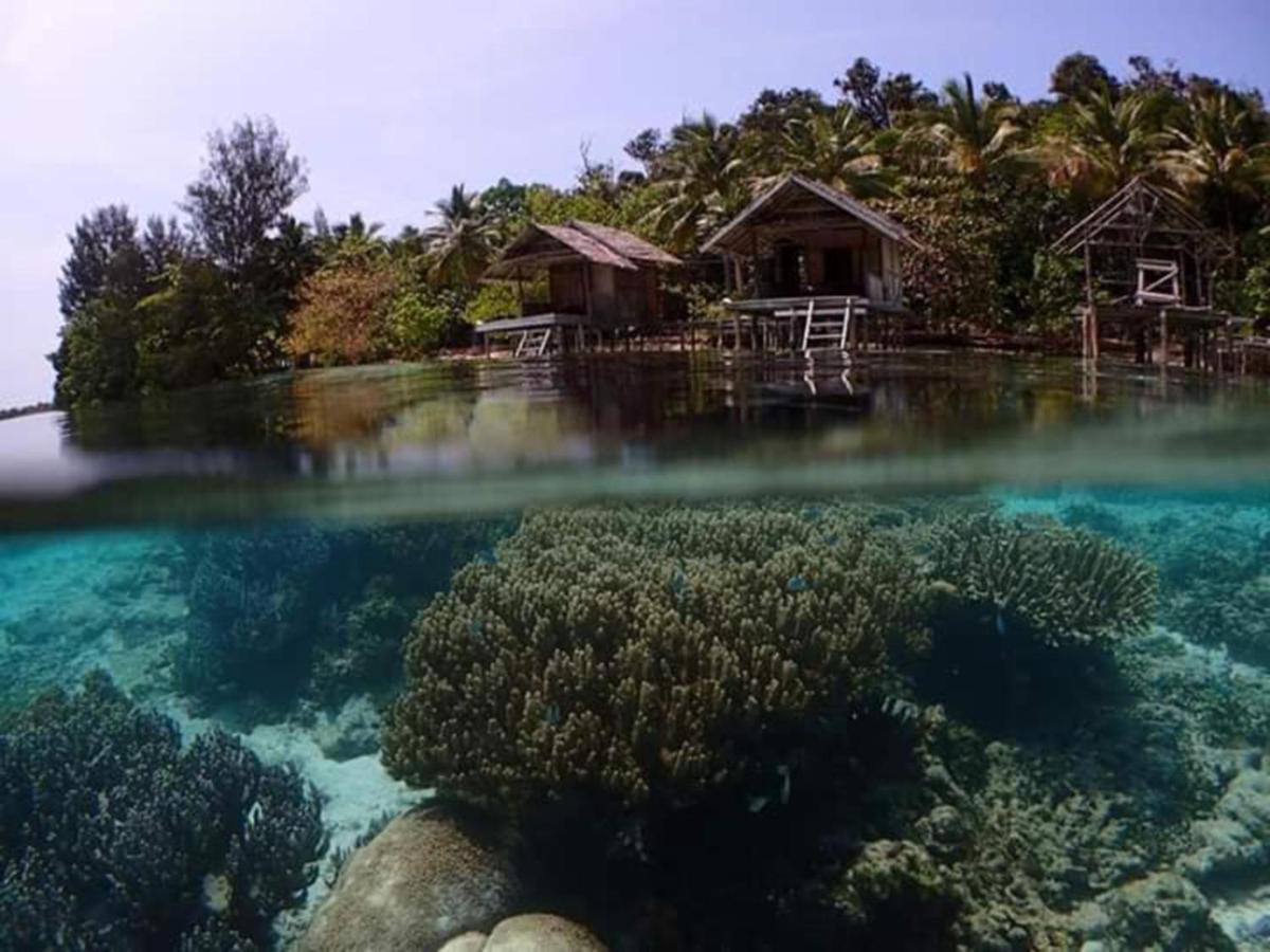 Meos Ambower Homestay Raja Ampat Fam 外观 照片