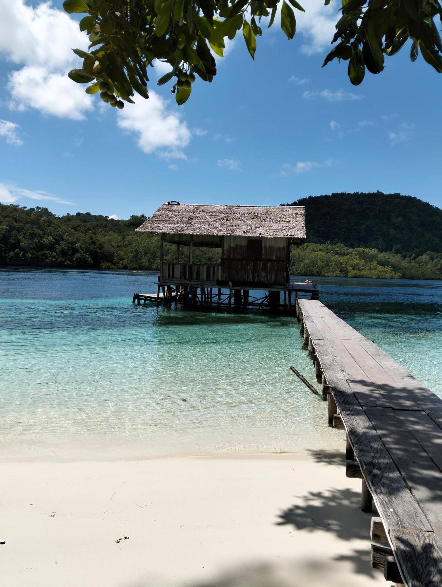 Meos Ambower Homestay Raja Ampat Fam 外观 照片
