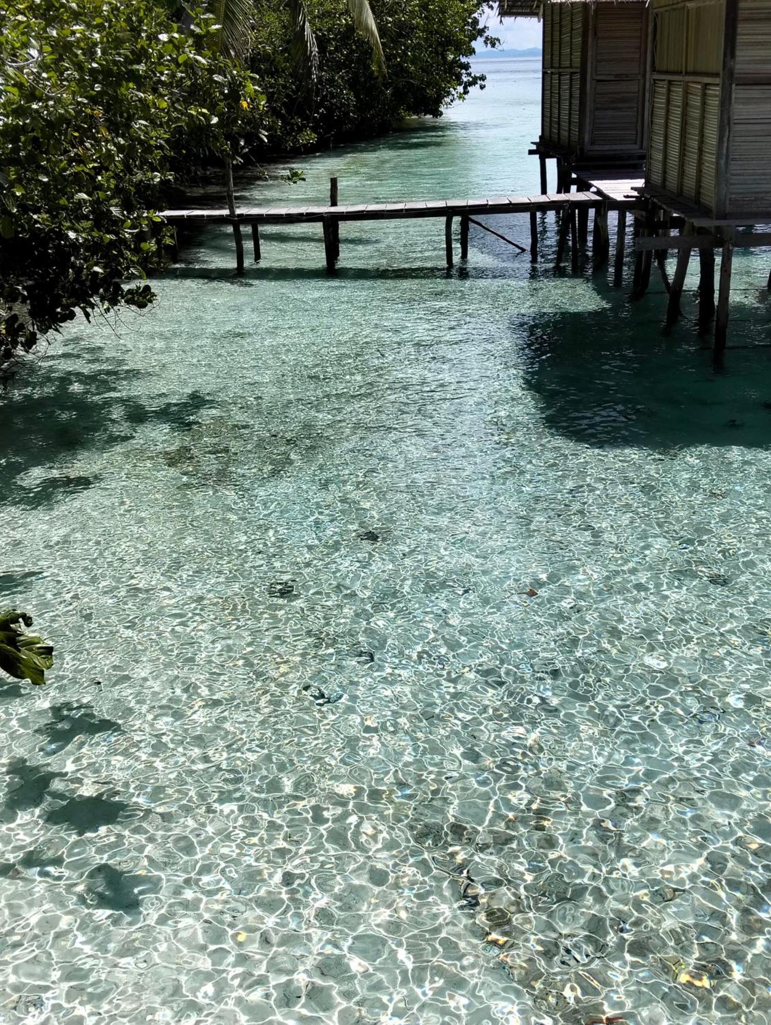Meos Ambower Homestay Raja Ampat Fam 外观 照片