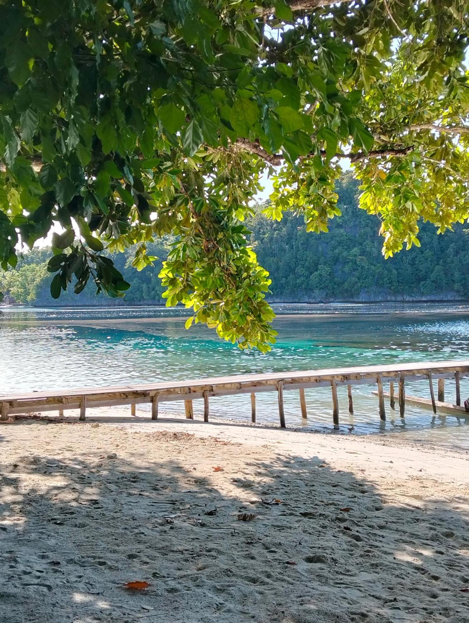 Meos Ambower Homestay Raja Ampat Fam 外观 照片