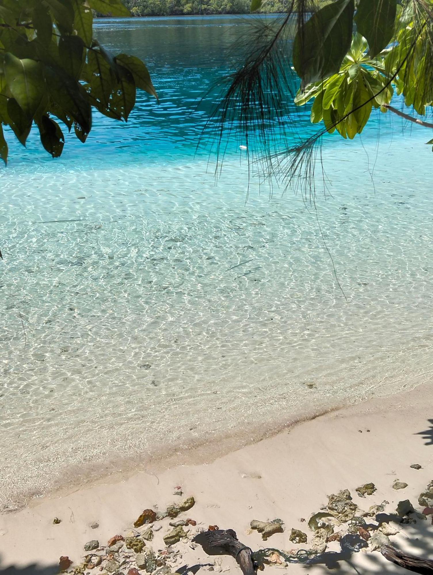 Meos Ambower Homestay Raja Ampat Fam 外观 照片