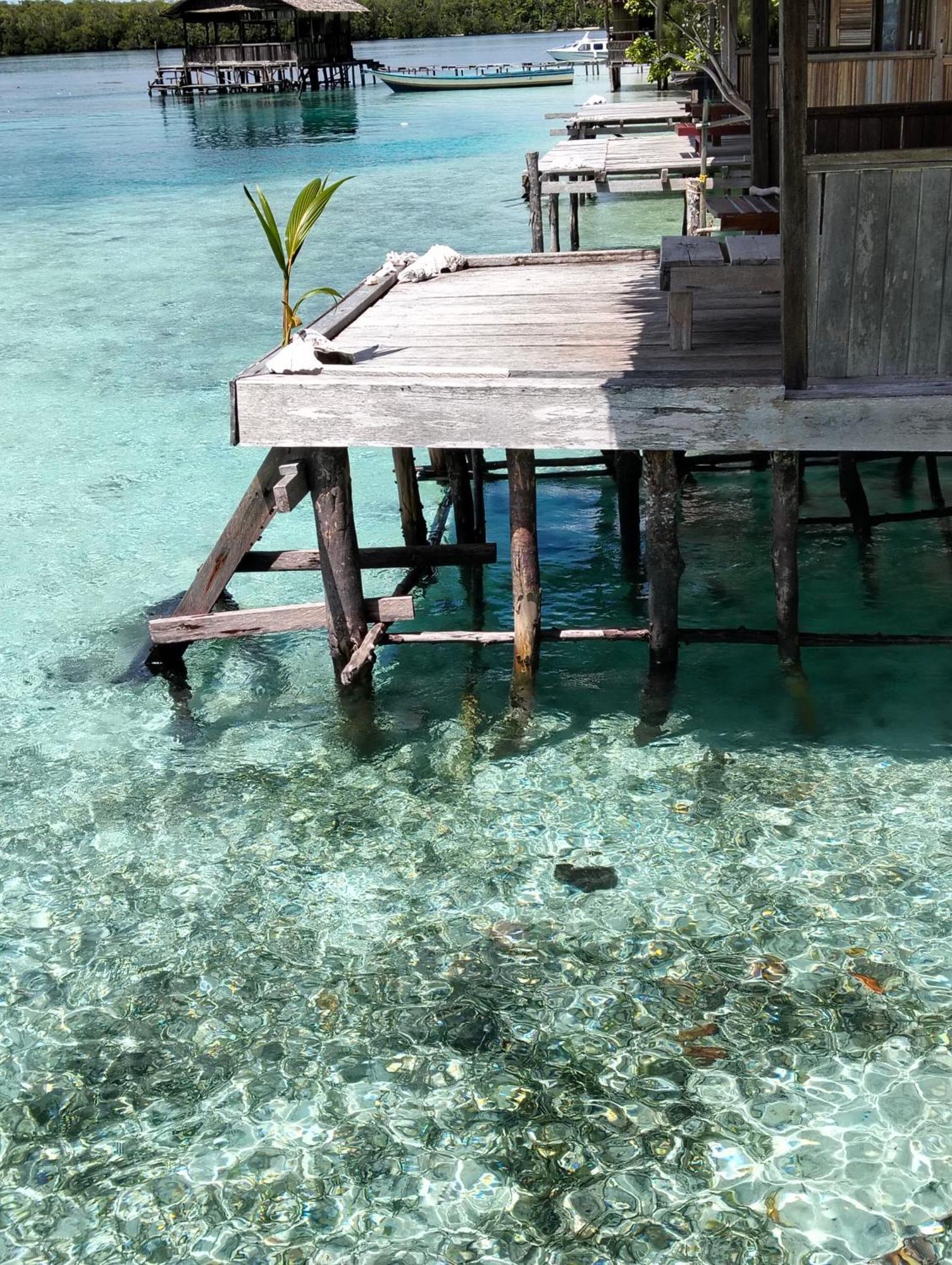 Meos Ambower Homestay Raja Ampat Fam 外观 照片