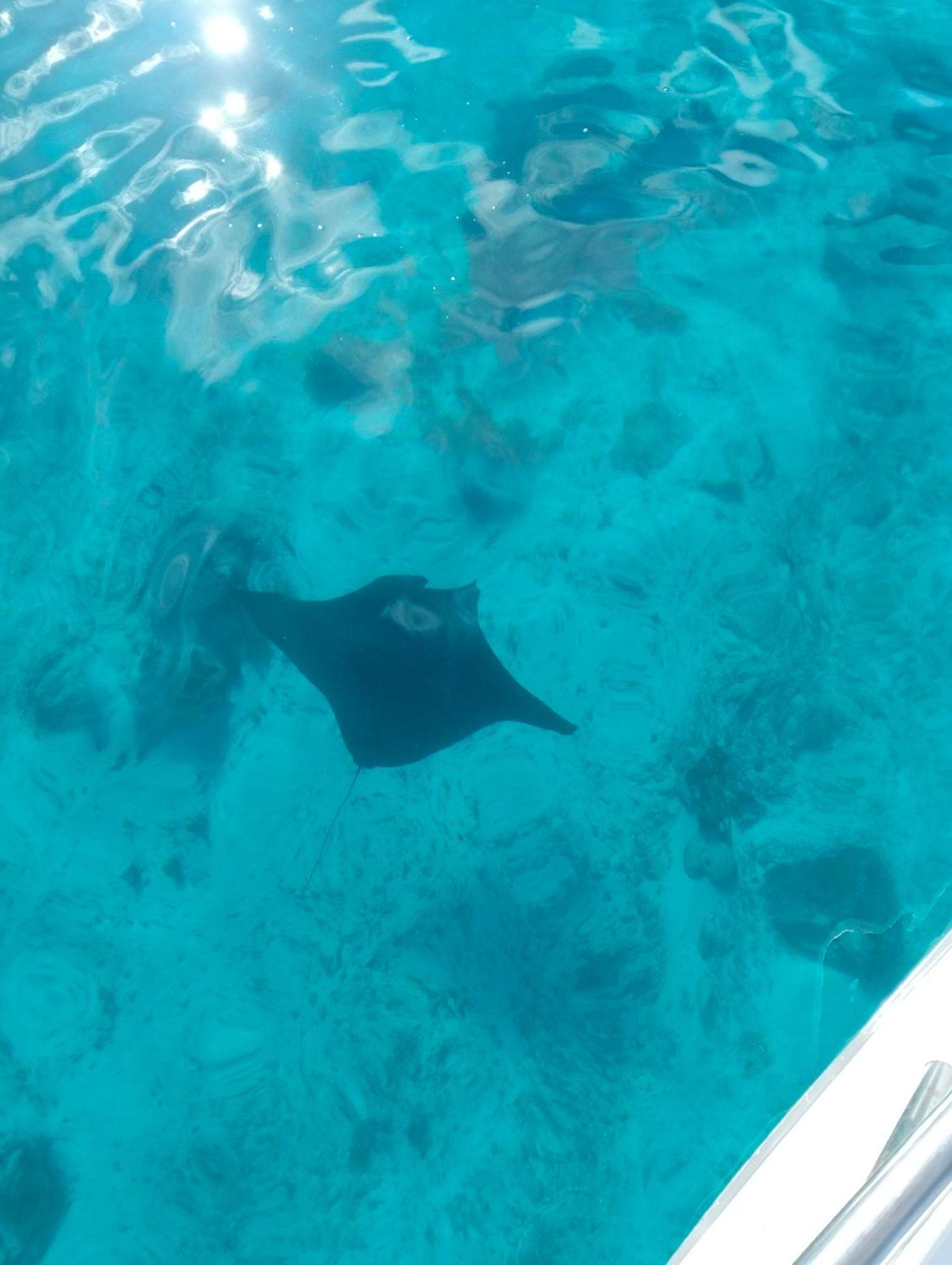 Meos Ambower Homestay Raja Ampat Fam 外观 照片